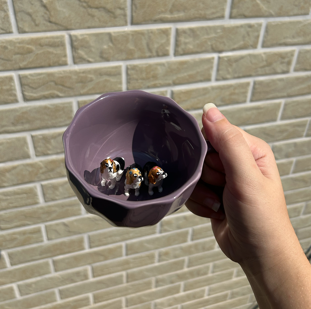 Cãopanheiros: Um presente para a vida toda