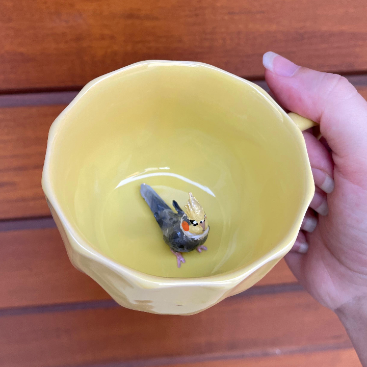 Minha ave, minha vida: o presente perfeito.