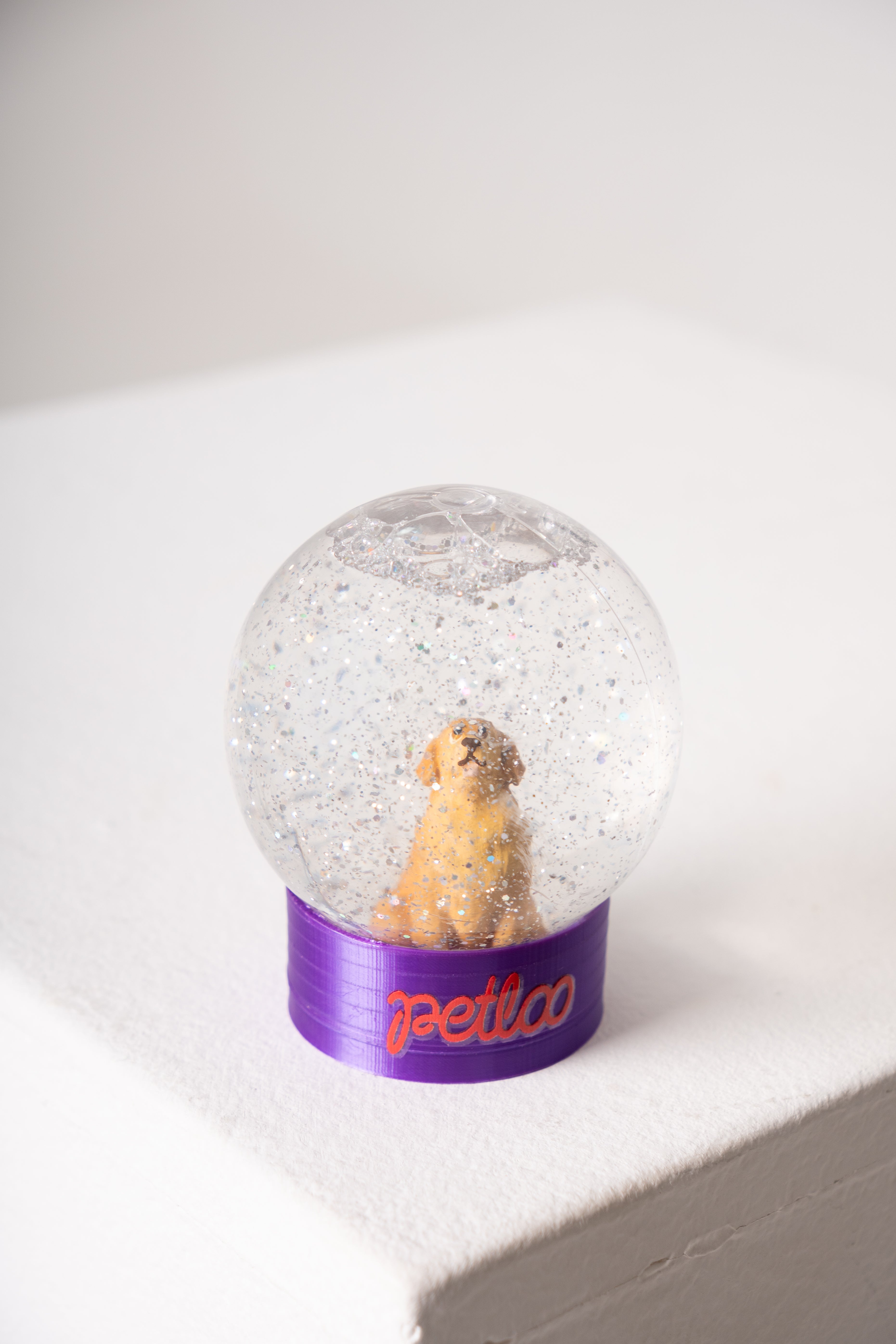 Globo de Neve Personalizado Looneve Petloo