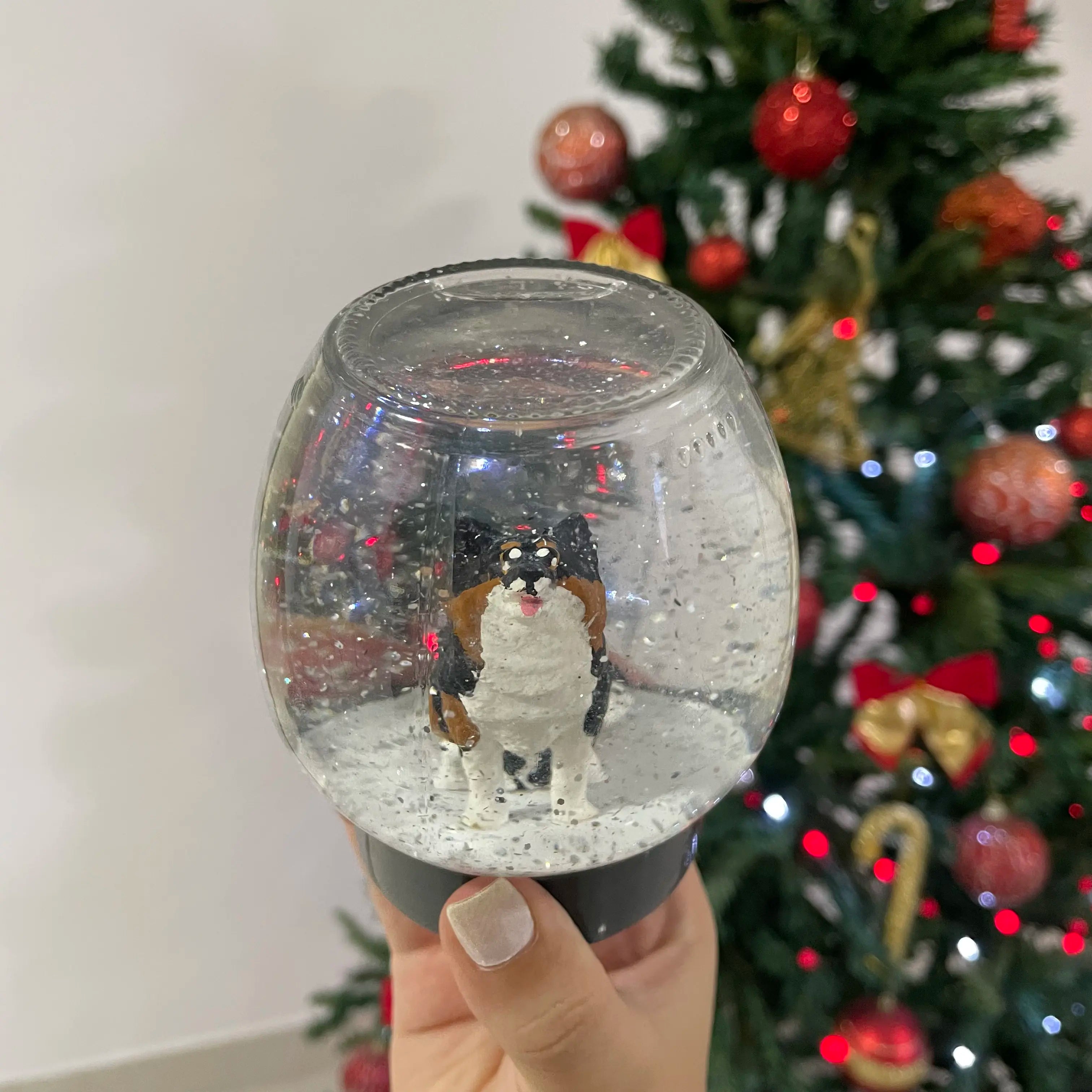 Globo de Neve Personalizado Looneve Petloo