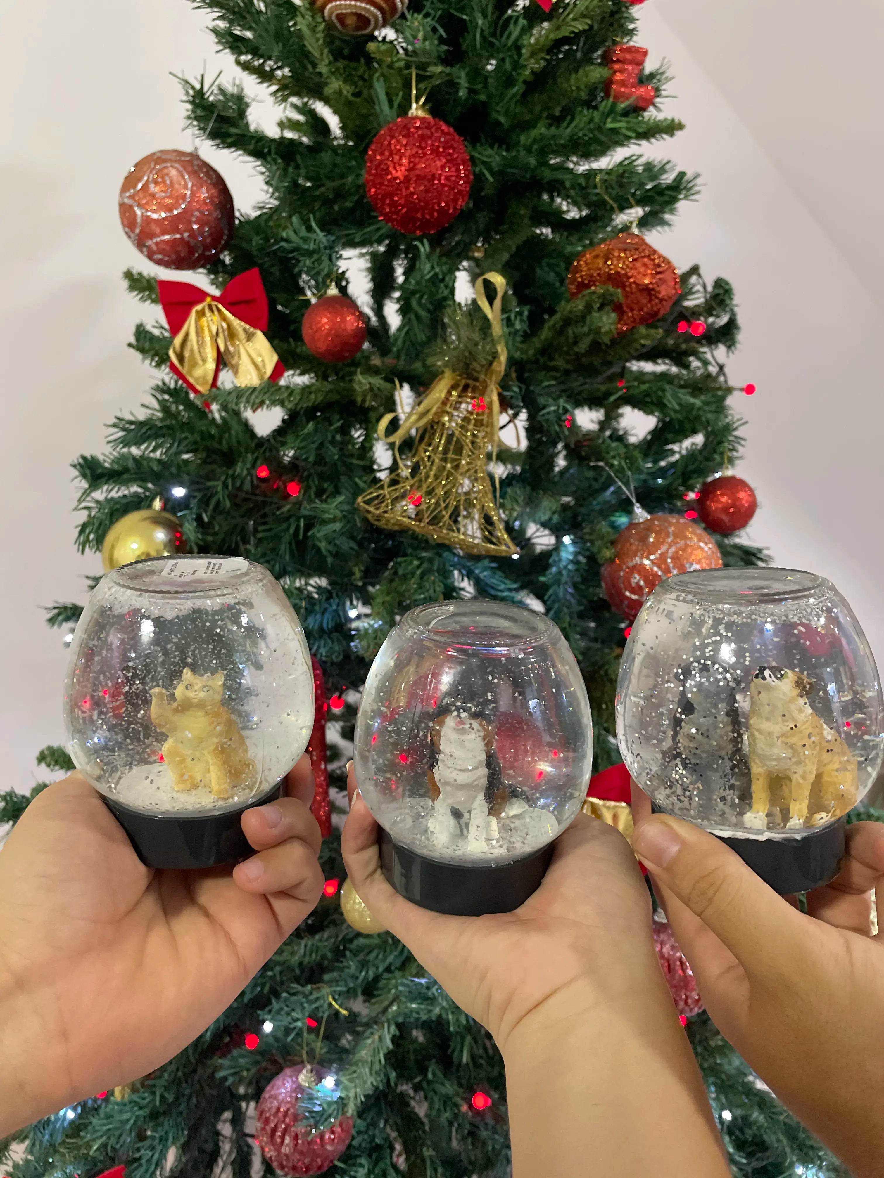 Globo de Neve Personalizado Looneve Petloo