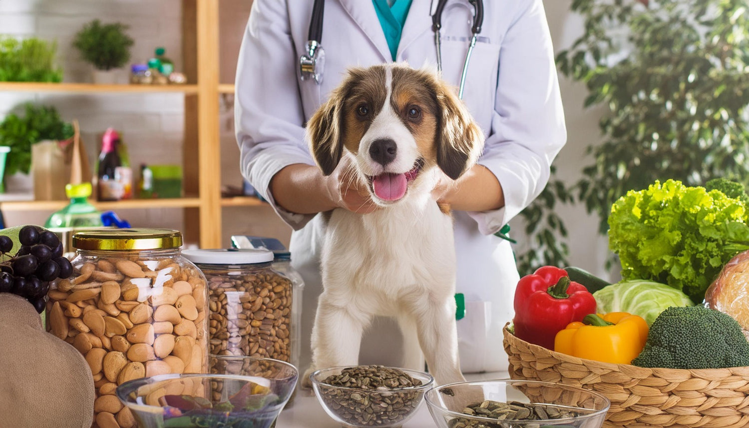 A Importância de uma boa alimentação para o seu pet