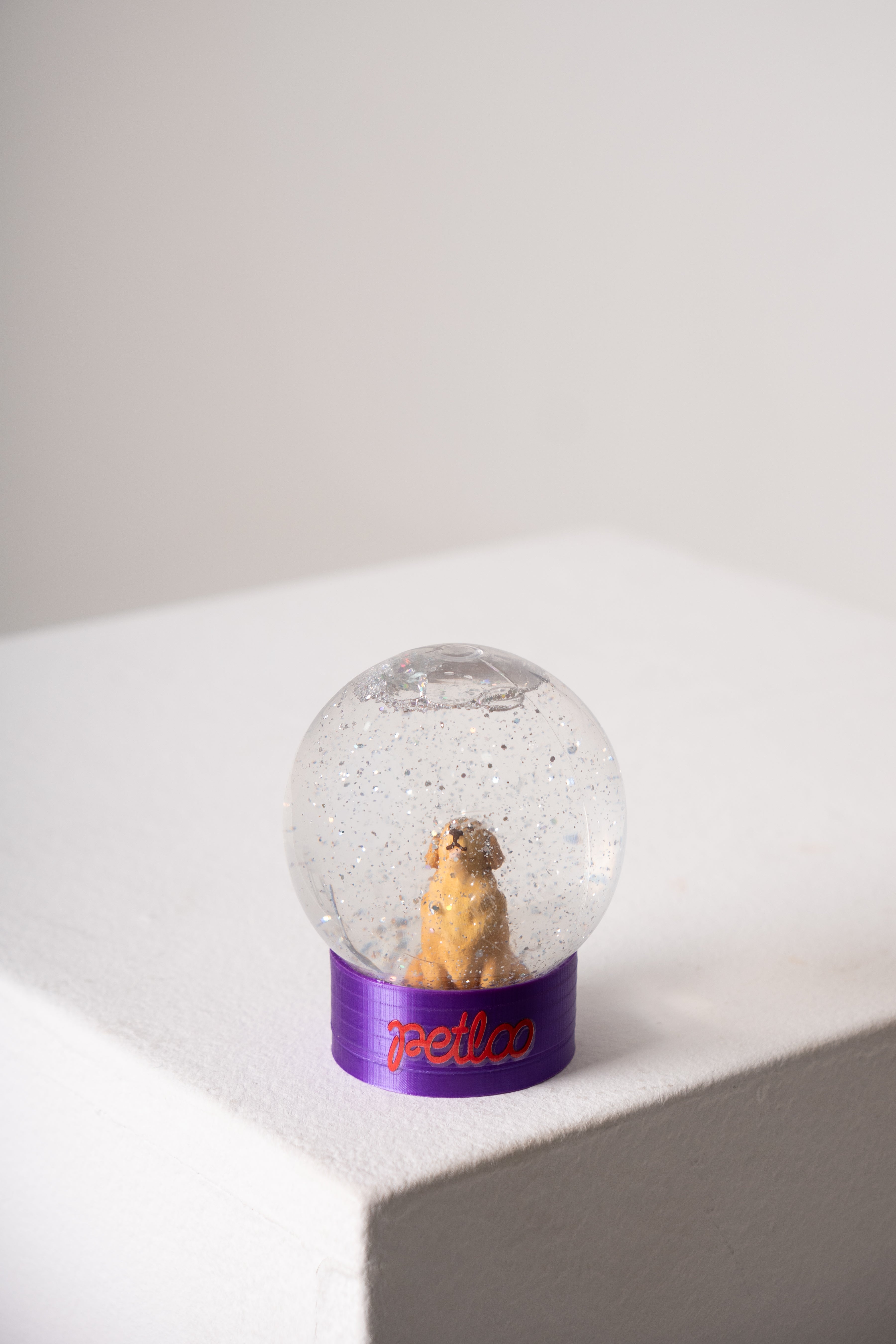 Globo de Neve Personalizado Looneve Petloo