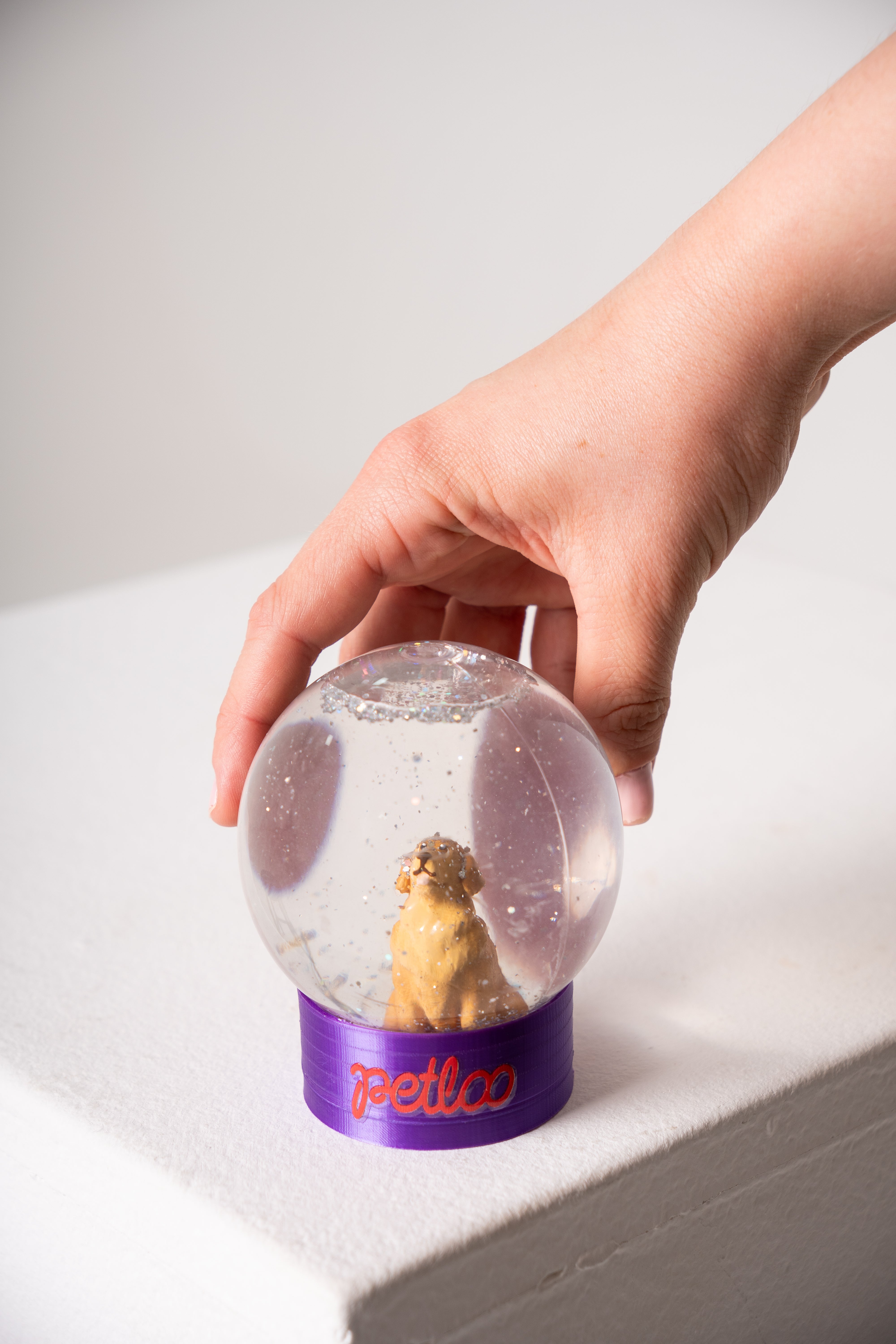 Globo de Neve Personalizado Looneve Petloo