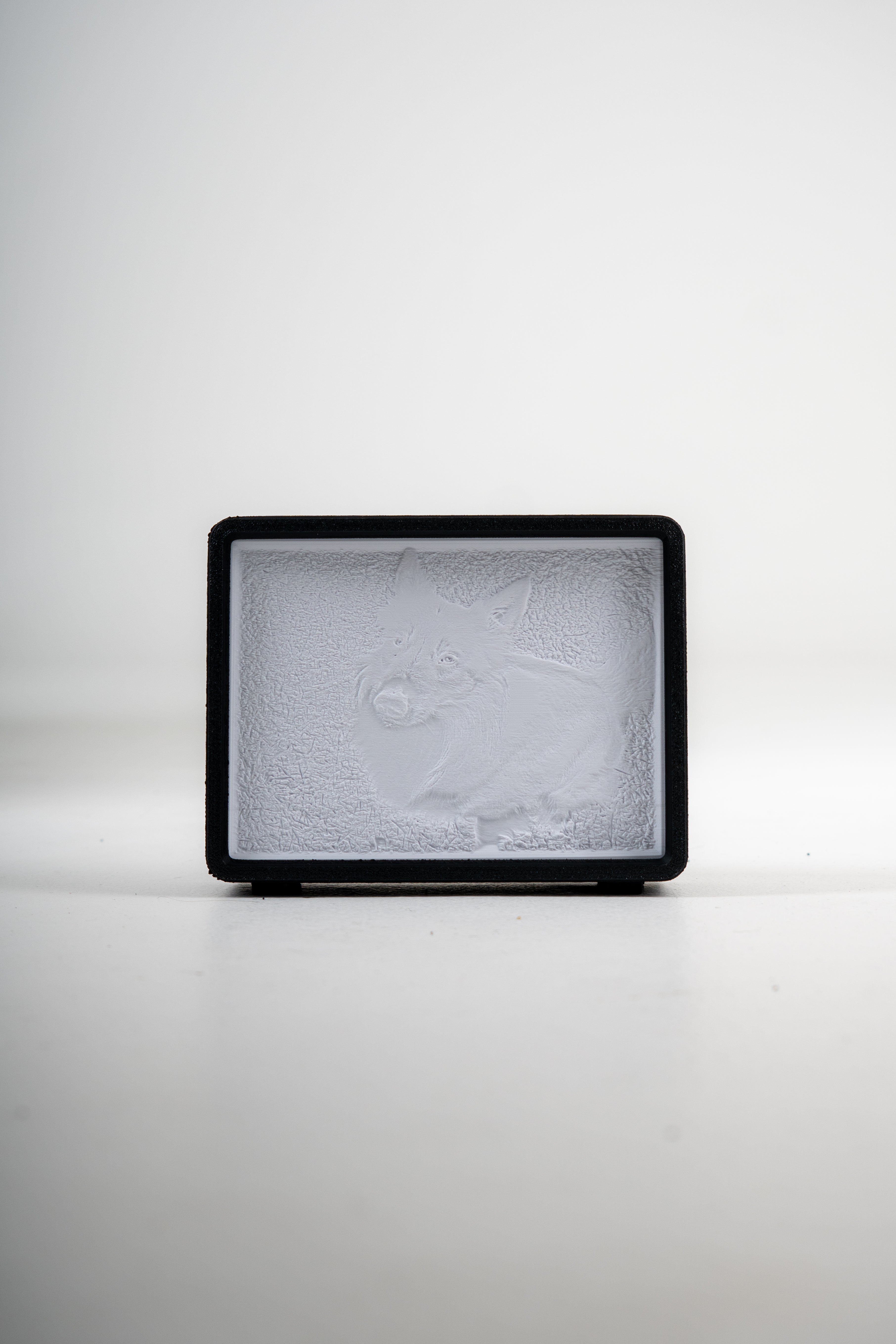 Loominária - Luminária personalizada