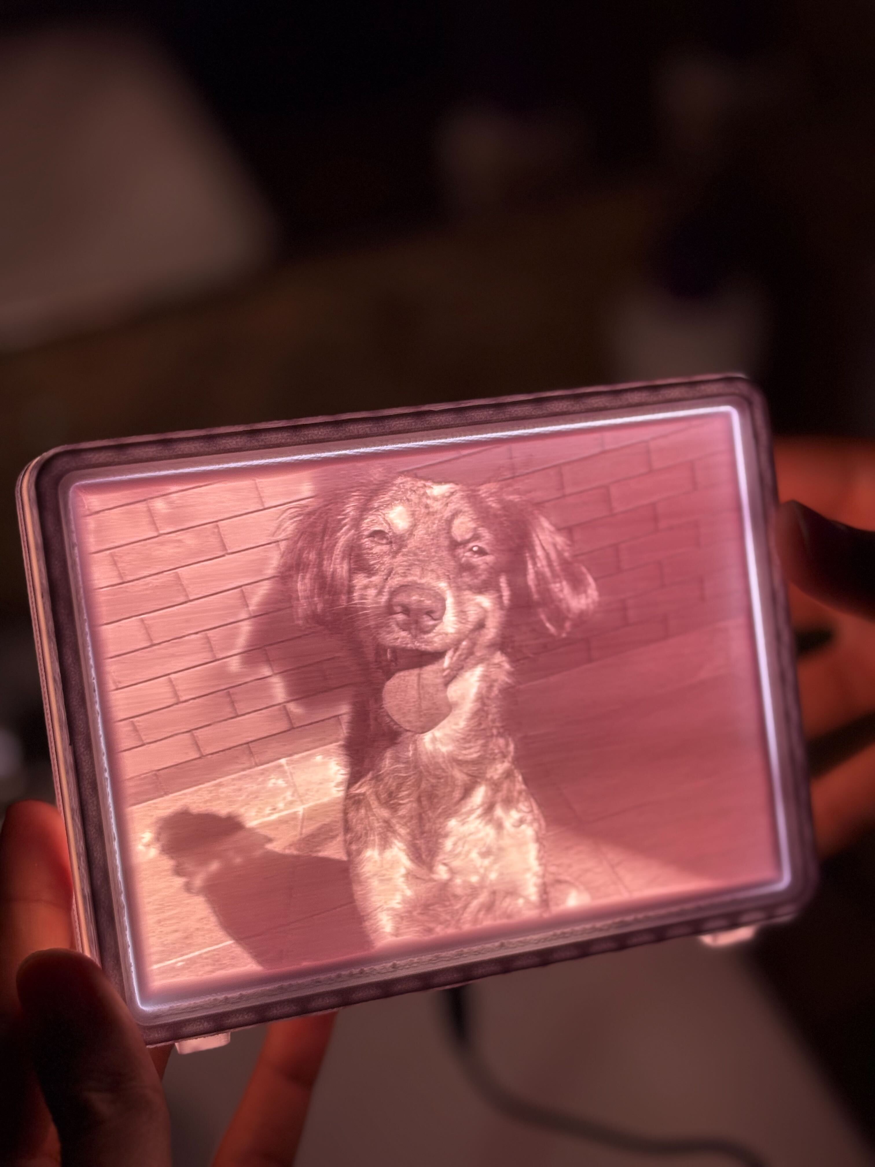 Loominária - Luminária personalizada