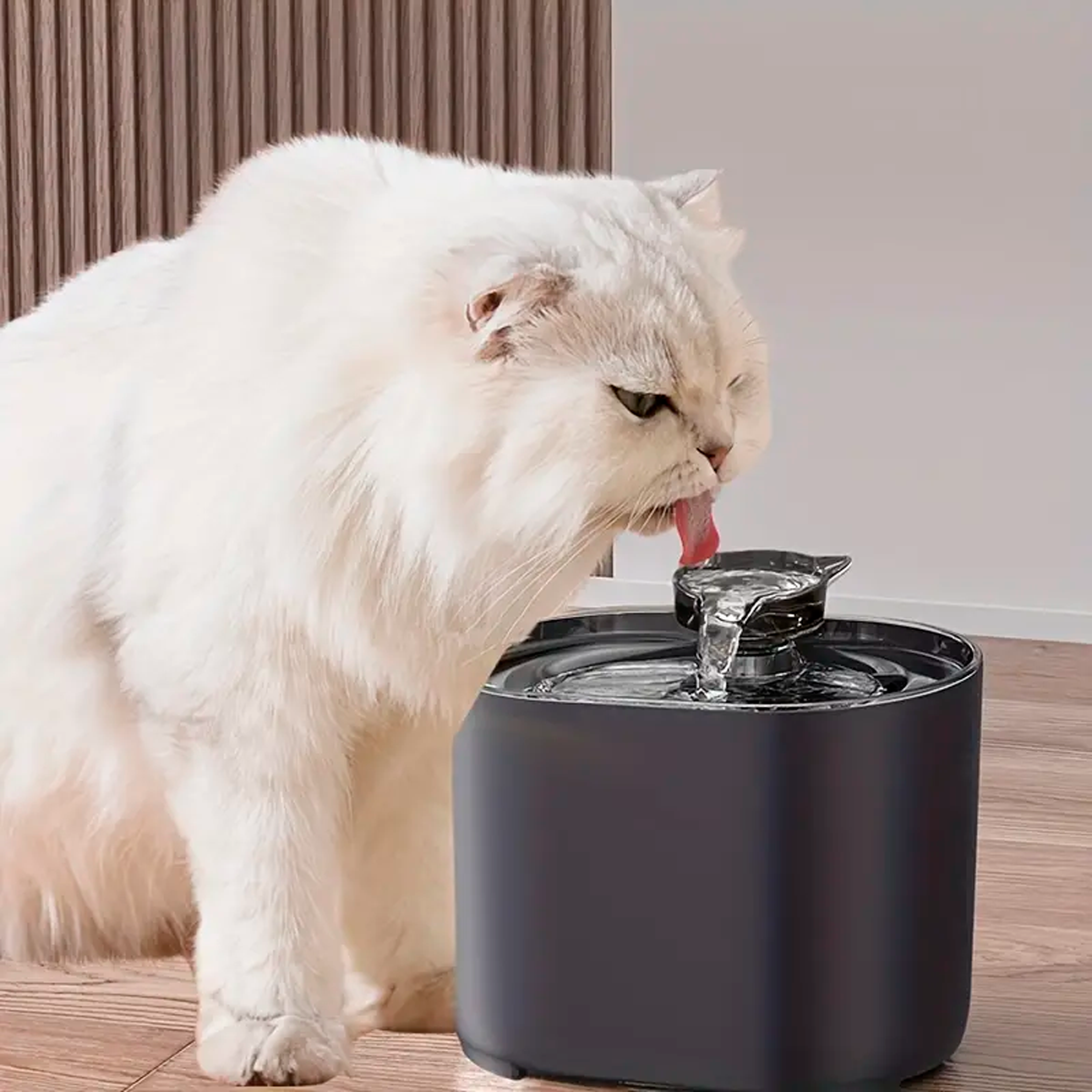 Bebedouro Automático para Gatos - Bebedouloo