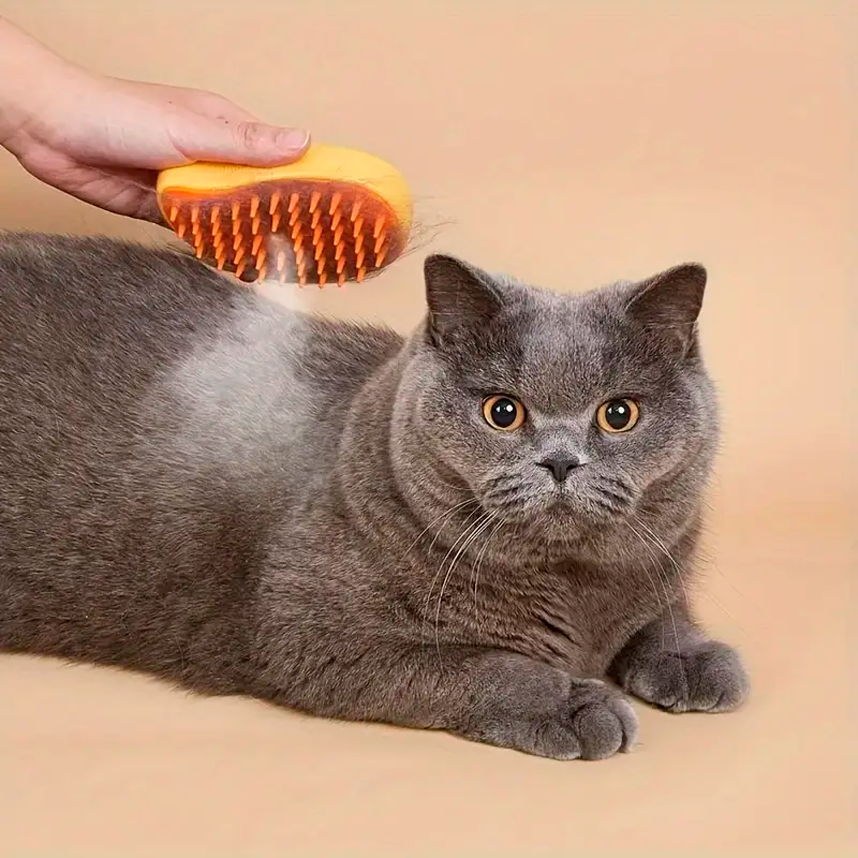 Escova difusora pelos para gatos - Peloo