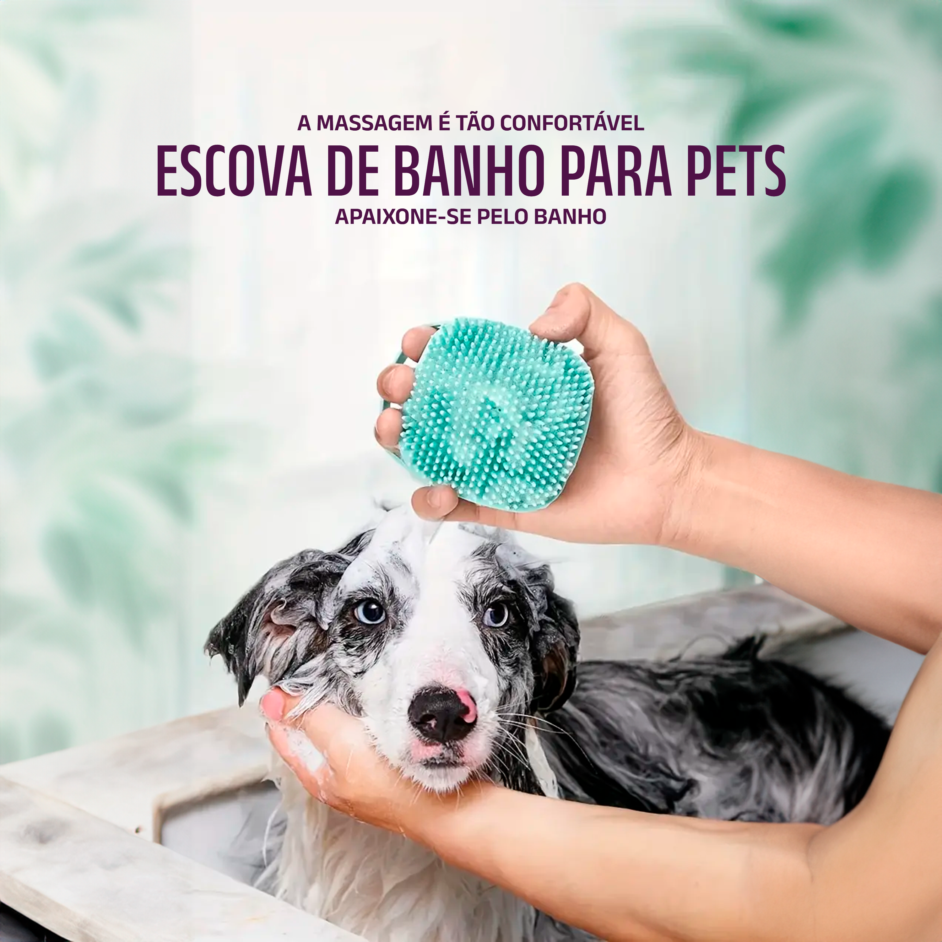 Escova de banho para pets - Petloo